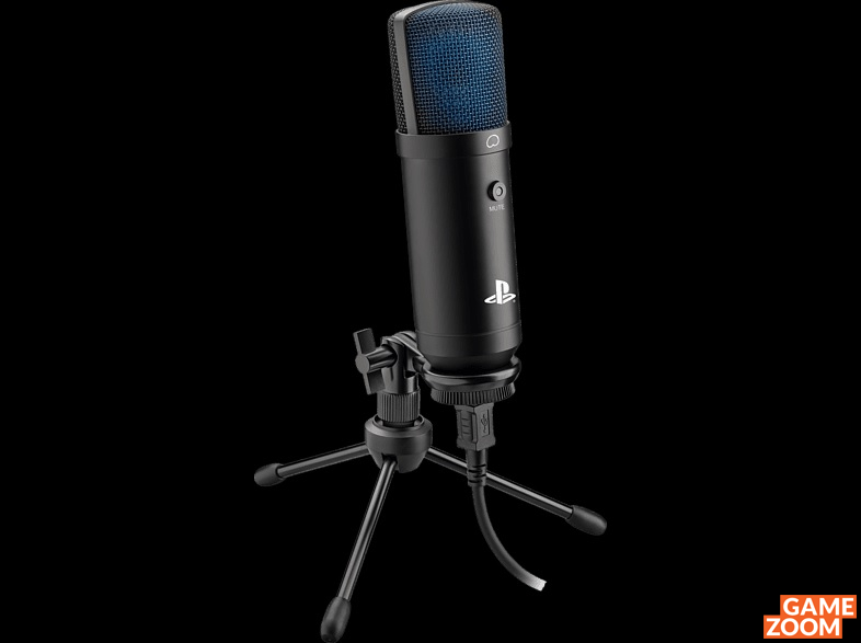 Microphone RIG M100HS